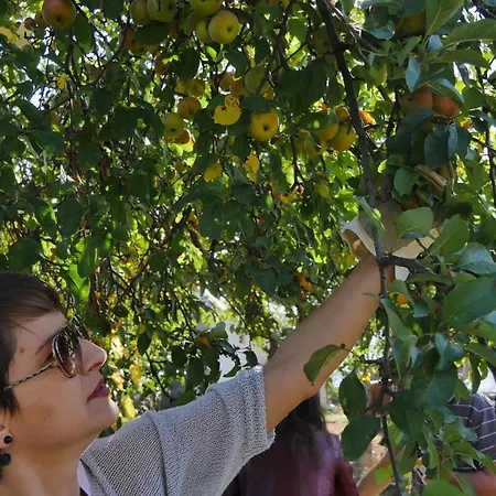 Agroturizem Devin *