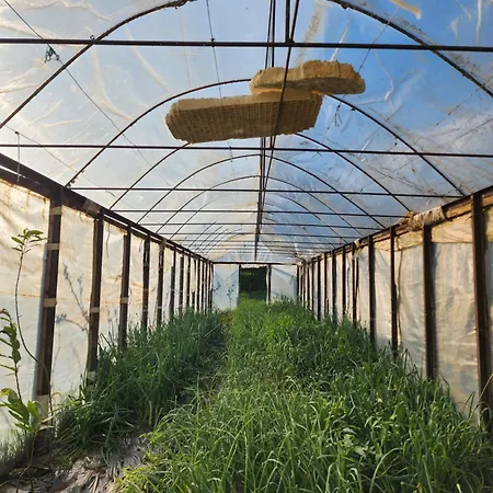 Guest house Agroturizem Devin