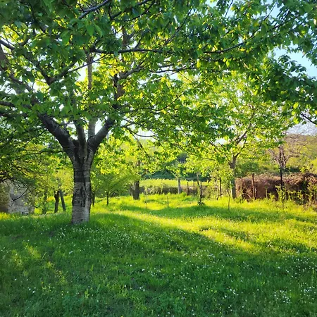 Agroturizem Devin Guest house